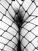 cherie0163