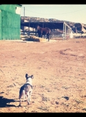 photo-4