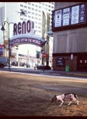 photo-7