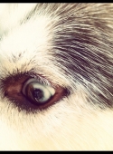photo 4[1]