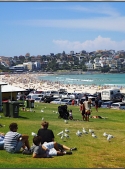 sb_sydney01