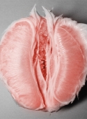 QevyV9Pib5g3l52mVXnLSQnR_500