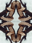 tumblr_lmfvn8Dzth1qdyu3wo1_500